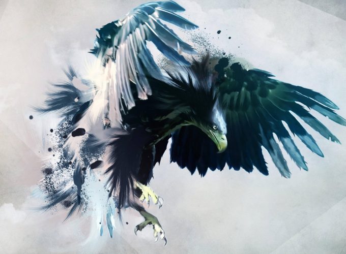 Wallpaper eagle, flight, draft, Animals 965644530